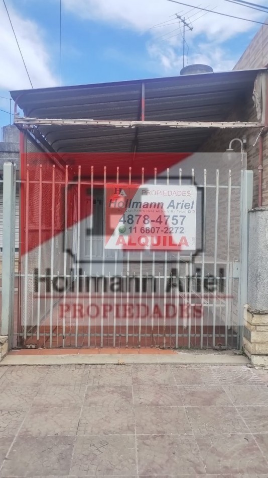 Local 